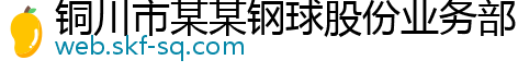 铜川市某某钢球股份业务部